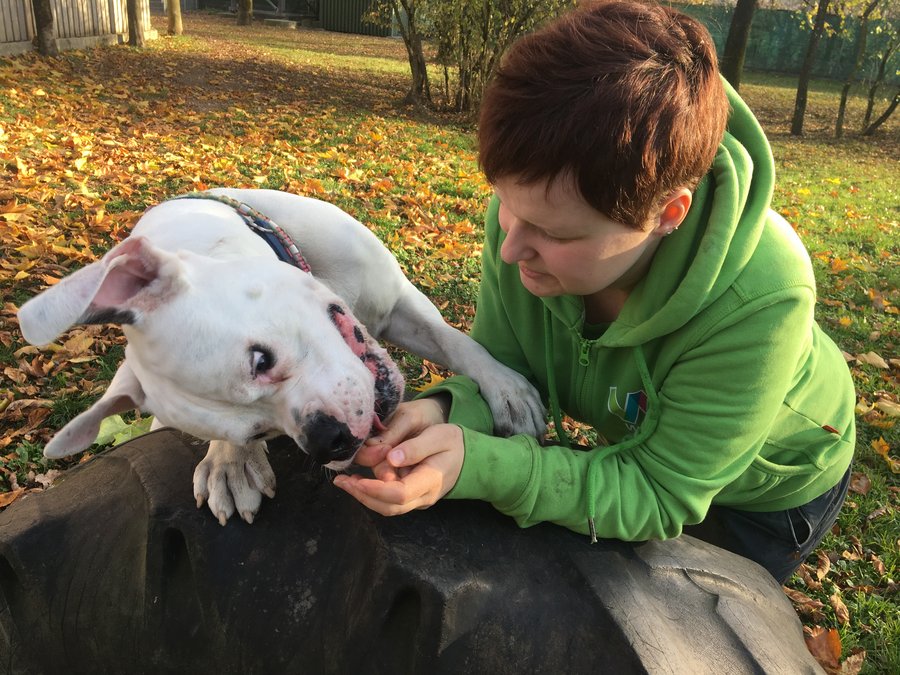 Frau bei einer ehrenamtliche TĂ€tigkeit mit Hund Patricia