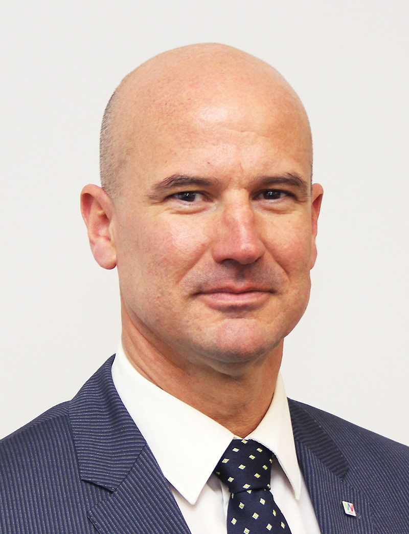 Der Magistratsdirektor - Portrait